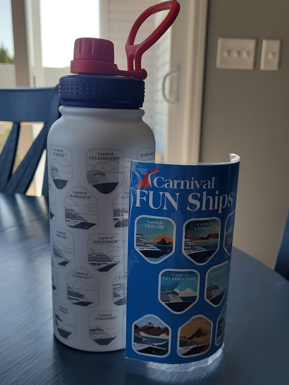 CARNIVAL Cruise Lines Stainless Steel Collectible Sticker Water Bottle